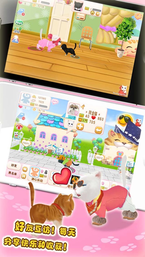 晴天小猫破解版