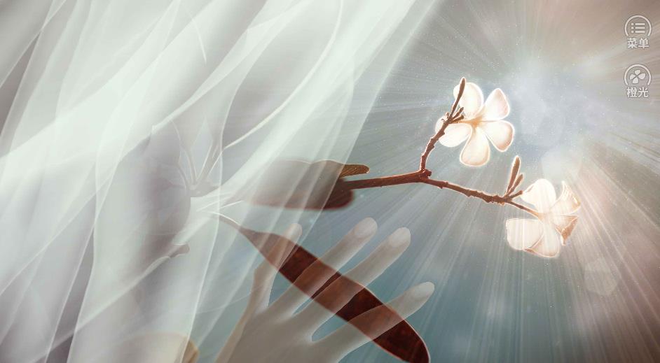 未成沉醉意先融破解版