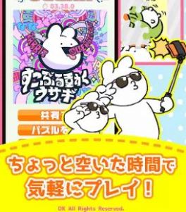 非常动人的兔子