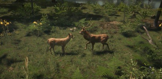 德鲁伊模拟器中文版