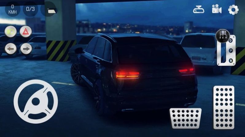 Realparking2破解版