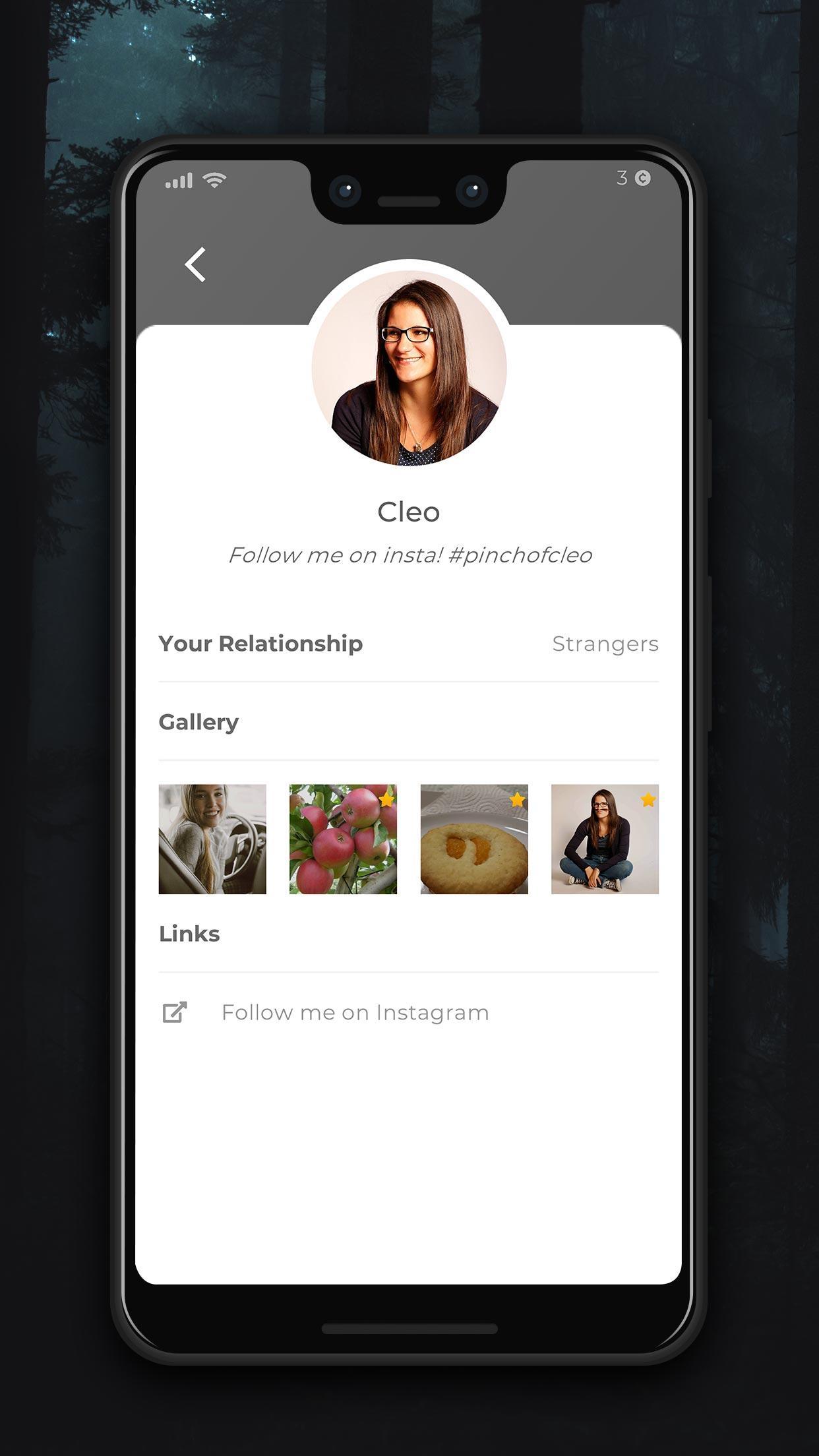 暮色森林刑事案件汉化版