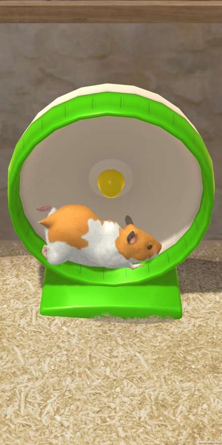 我的仓鼠游戏手机版