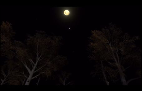 孙美琪疑案冯跃进完整版