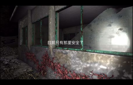 孙美琪疑案冯跃进完整版