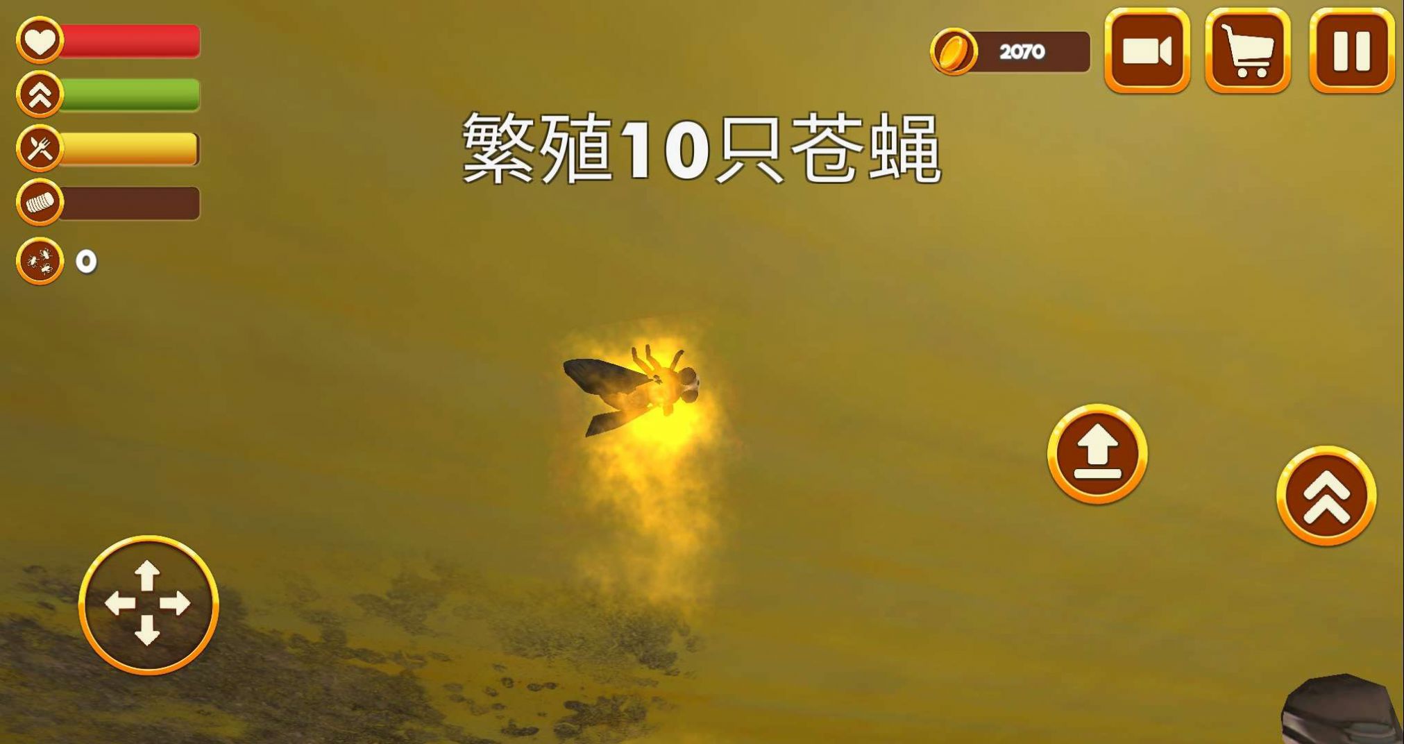 苍蝇生存3D模拟器