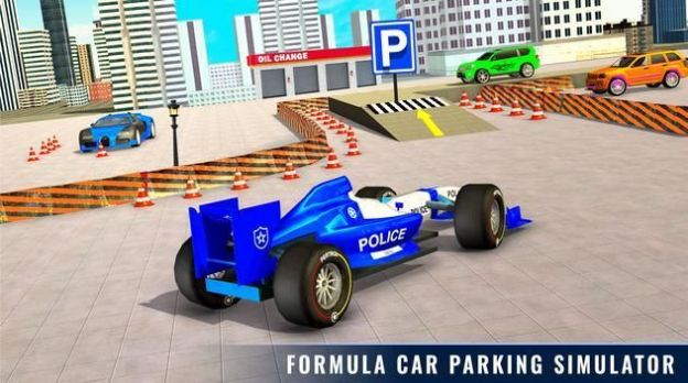 police formula car.jpg