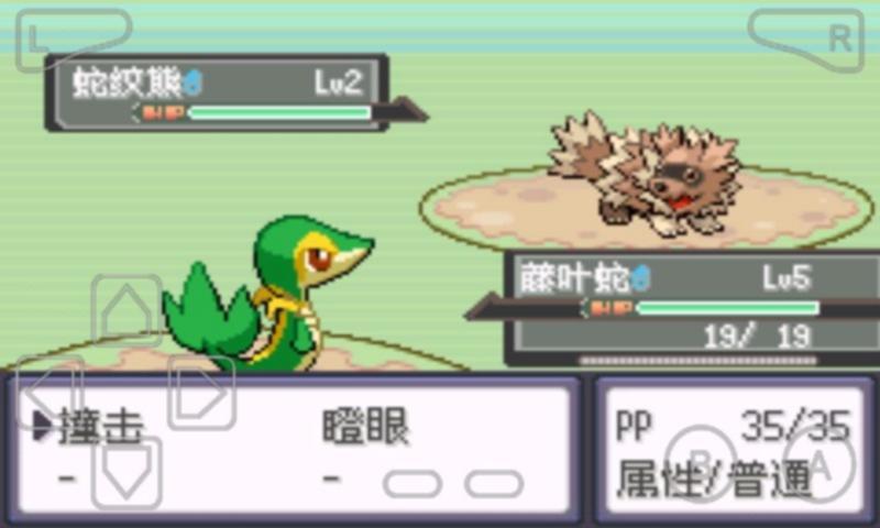 我的村庄我守护