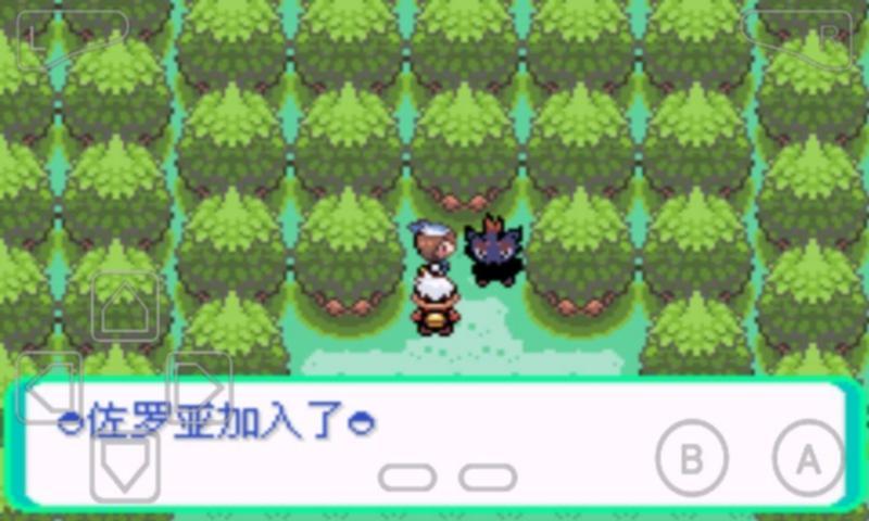 我的村庄我守护