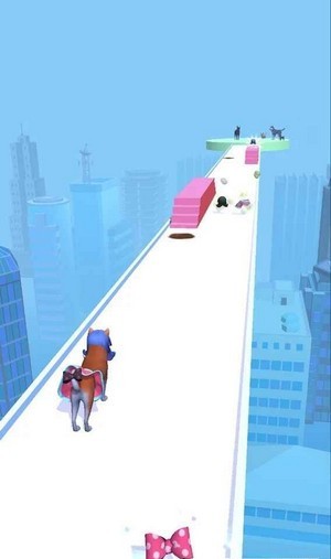 动物美容赛跑 动物美容赛跑