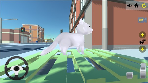 叉车动物运输救援 叉车动物运输救援