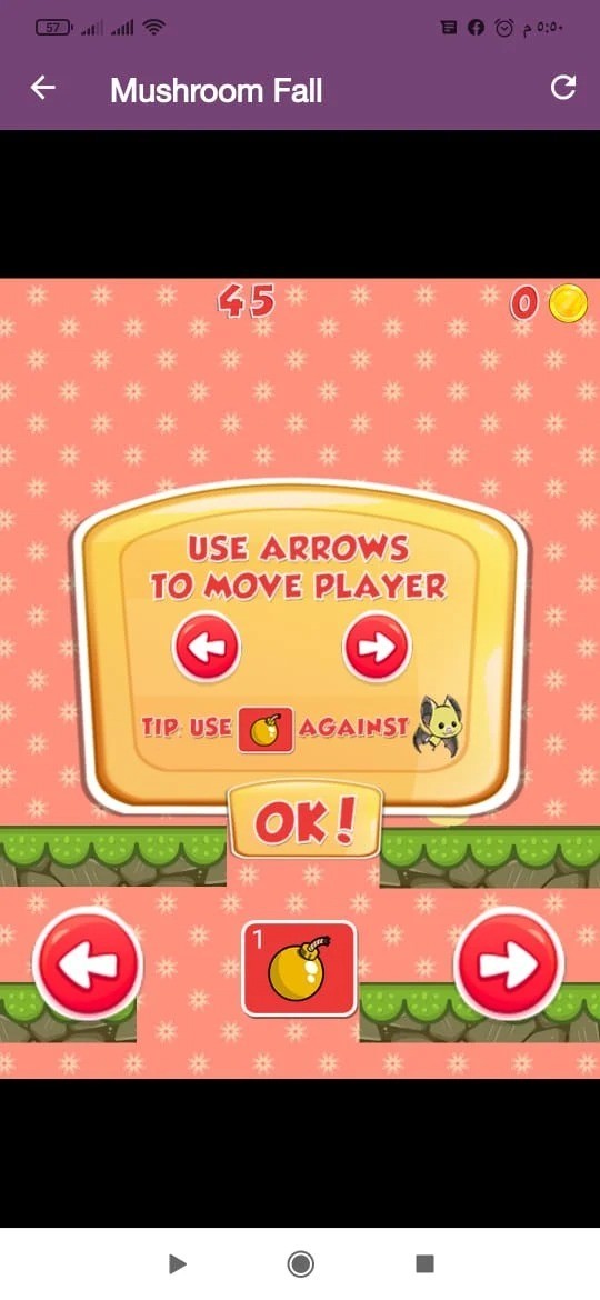 秋天的蘑菇 秋天的蘑菇