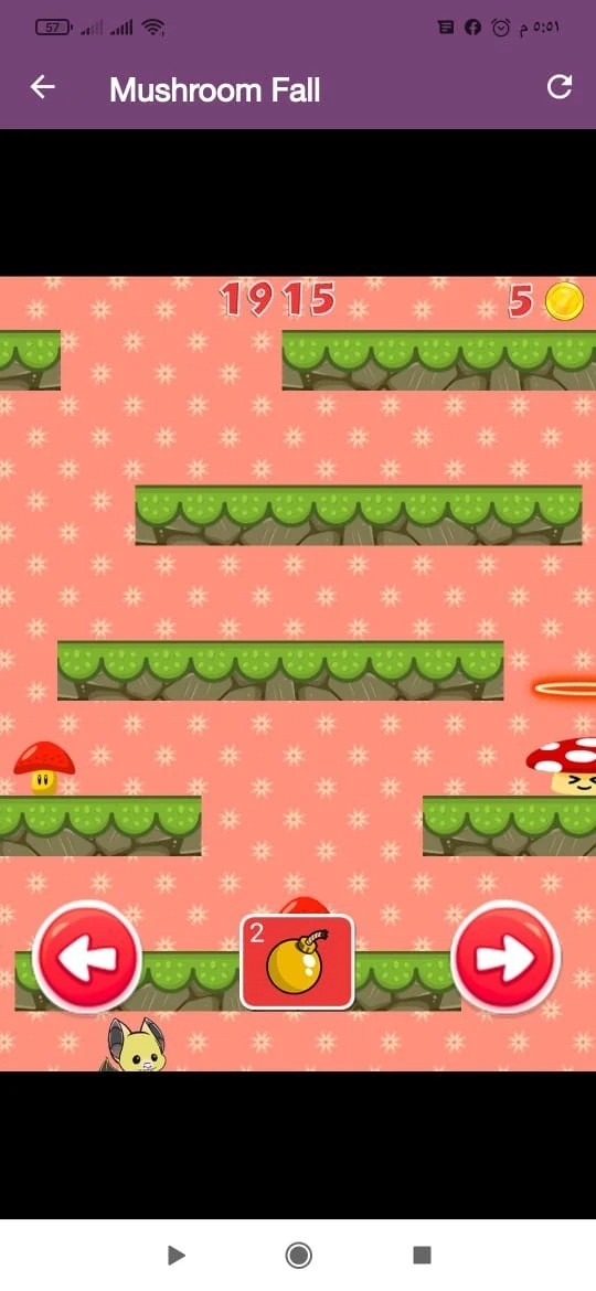 秋天的蘑菇 秋天的蘑菇