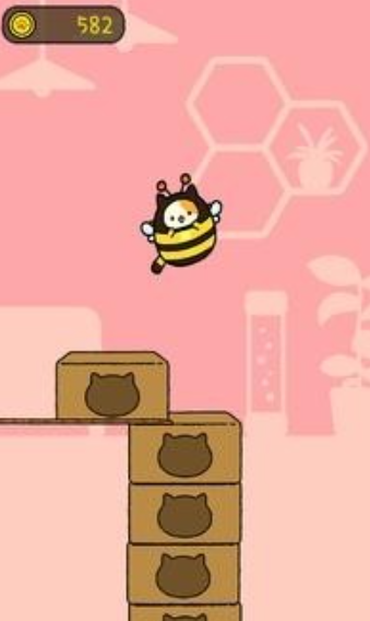 跳跳布尼猫 跳跳布尼猫