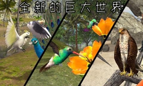 老鹰模拟器2中文版