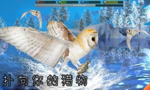 老鹰模拟器2中文版 老鹰模拟器2中文版