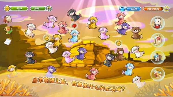 开心水族箱 开心水族箱