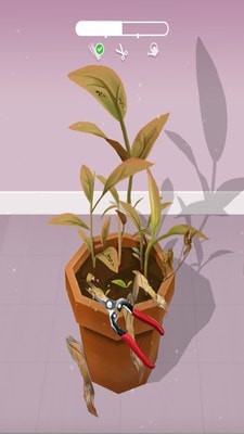 完美园艺 完美园艺