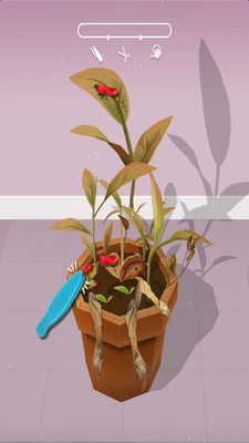 完美园艺 完美园艺