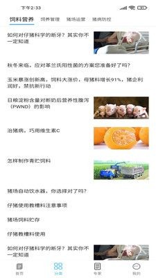 养猪富豪app.jpg