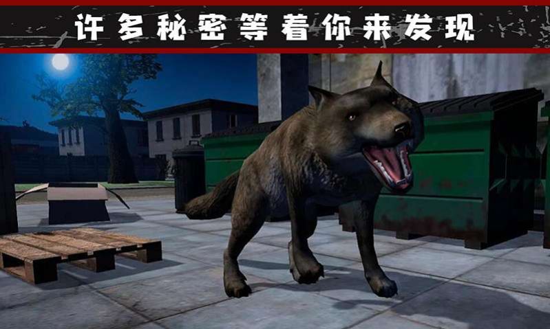 我的流浪生涯 我的流浪生涯