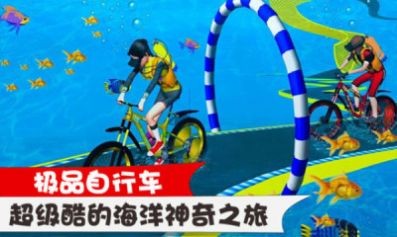 极品自行车 极品自行车