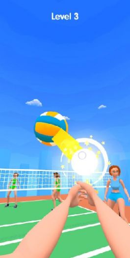 3D打排球 3D打排球