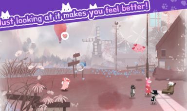 猫咪收容所 猫咪收容所