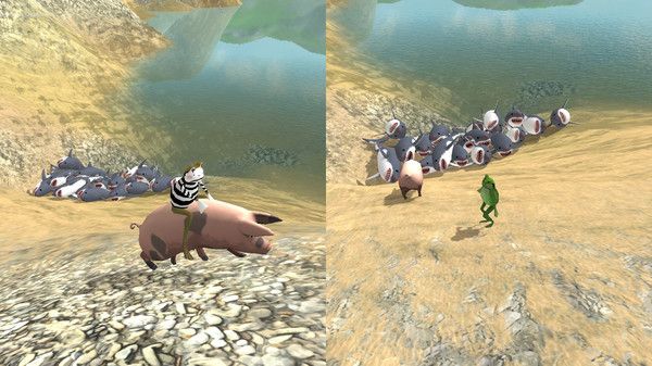 疯狂的青蛙 疯狂的青蛙