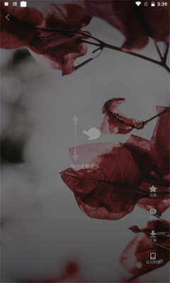 超萌鸭软件.jpg 超萌鸭软件.jpg