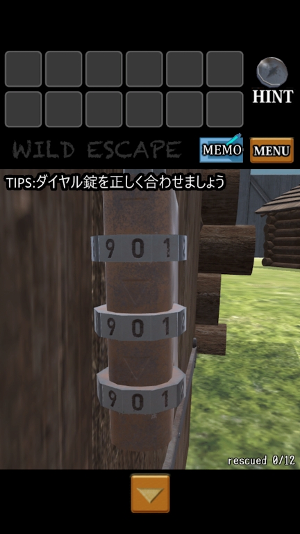 狂野大逃亡 狂野大逃亡