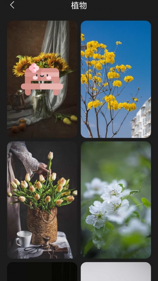 布丁壁纸app.jpg 布丁壁纸app.jpg