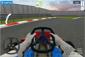 真实卡丁车赛 真实卡丁车赛