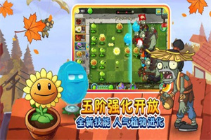 植物大战僵尸2双十一2021版 植物大战僵尸2双十一2021版