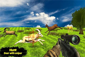 猎鹿探险游戏