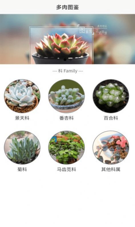 潮句多肉植物汇app.jpg