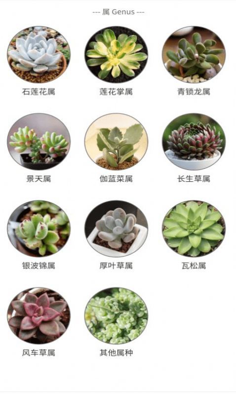 潮句多肉植物汇app.jpg