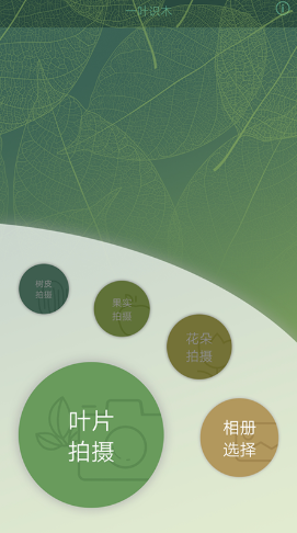 一叶识木app.png