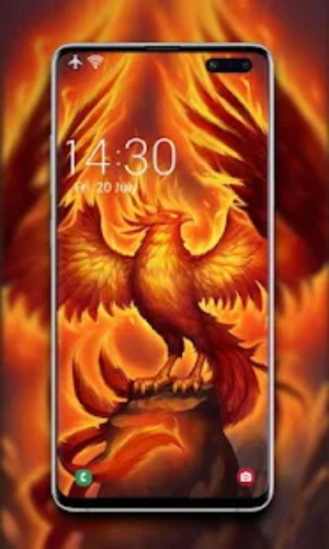 凤凰壁纸高清图片.jpg 凤凰壁纸高清图片.jpg