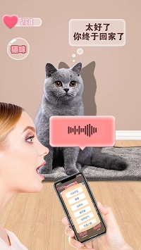 猫咪语言翻译器.jpg