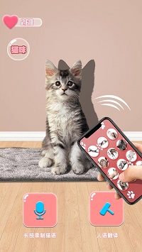 猫咪语言翻译器.jpg