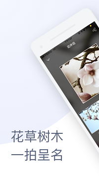 花伴侣植物识别app.png