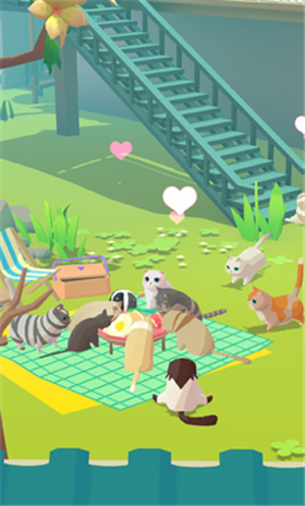 我需要猫咪 我需要猫咪