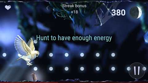 猫头鹰狩猎之旅