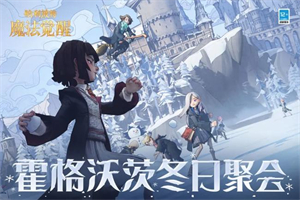 哈利波特魔法觉醒冰雪季