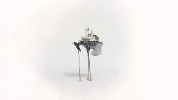 行走的老鲸鱼 行走的老鲸鱼