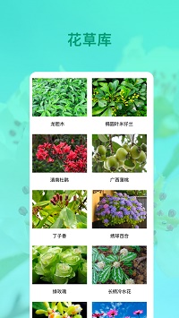 花卉识别软件app.jpg 花卉识别软件app.jpg