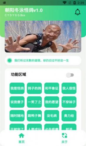 冬泳怪鸽盒语音包 冬泳怪鸽盒语音包