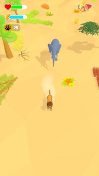 野生动物探险 野生动物探险