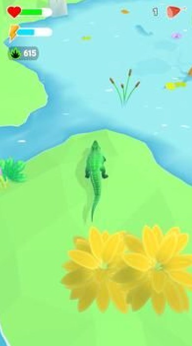 野生动物探险 野生动物探险